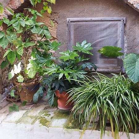 Casa Luján Vila Vejer de la Frontera Exterior foto